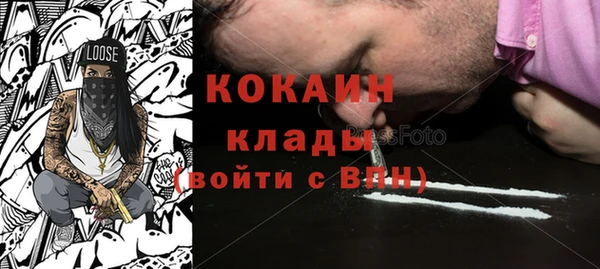 молекула духа Алексин