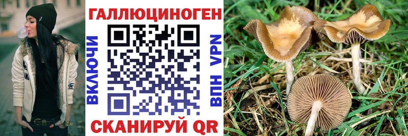 Псилоцибиновые грибы прущие грибы  Завитинск 